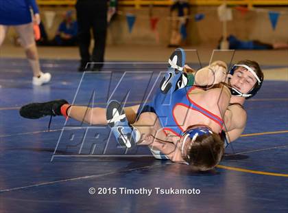Thumbnail 2 in NIAA Championships photogallery.