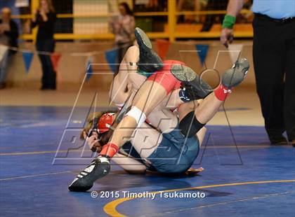 Thumbnail 1 in NIAA Championships photogallery.