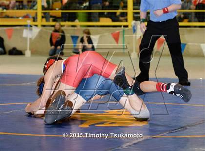 Thumbnail 2 in NIAA Championships photogallery.