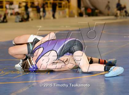 Thumbnail 2 in NIAA Championships photogallery.