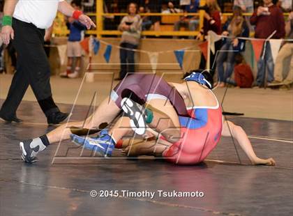 Thumbnail 2 in NIAA Championships photogallery.