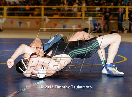 Thumbnail 2 in NIAA Championships photogallery.