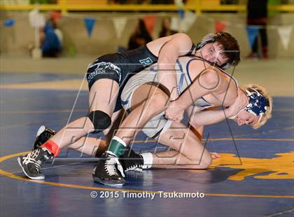 Thumbnail 1 in NIAA Championships photogallery.