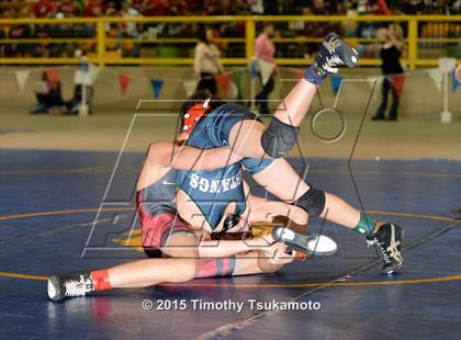 Thumbnail 3 in NIAA Championships photogallery.