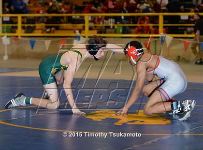 Thumbnail 3 in NIAA Championships photogallery.