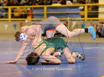 Thumbnail 3 in NIAA Championships photogallery.