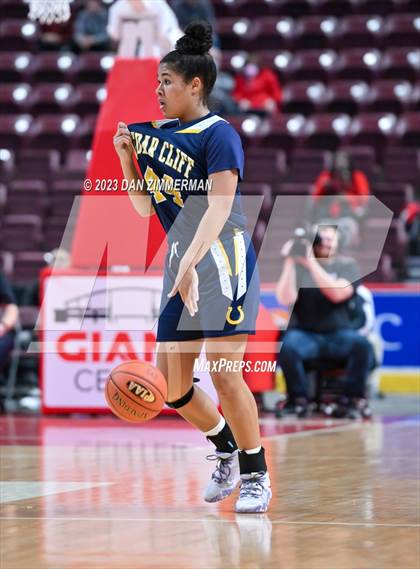 Thumbnail 2 in Archbishop Carroll vs. Cedar Cliff (PIAA 6A Final) photogallery.