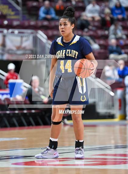 Thumbnail 1 in Archbishop Carroll vs. Cedar Cliff (PIAA 6A Final) photogallery.