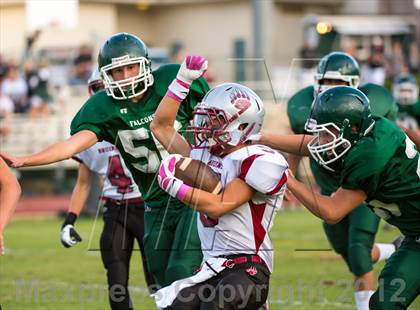 Thumbnail 1 in Bear River @ Colfax photogallery.