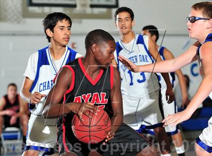 Thumbnail 3 in Ayala @ Charter Oak photogallery.