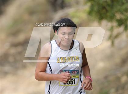 Thumbnail 2 in JV: Mt SAC Invitational (Division 1 - Race 80) photogallery.