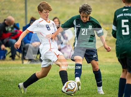 Thumbnail 3 in Pine Creek photogallery.