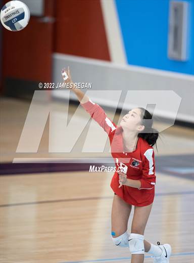 null - Photo 01