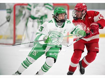 Thumbnail 1 in Greenwich @ Northwest Catholic (CIAC D1 First Round) photogallery.
