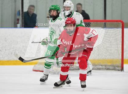 Thumbnail 1 in Greenwich @ Northwest Catholic (CIAC D1 First Round) photogallery.