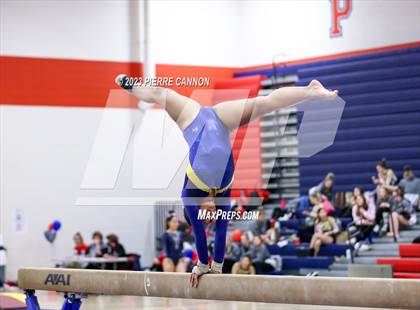 Thumbnail 3 in Patriot Gymnastics Meet photogallery.