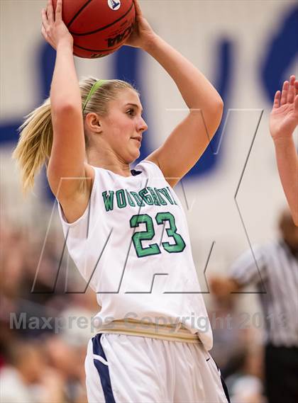 Thumbnail 1 in Woodgrove vs Loudoun County (Dulles District Final) photogallery.