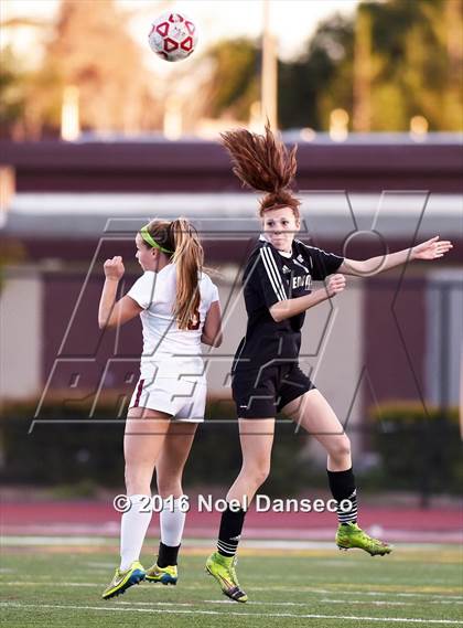 Thumbnail 3 in Menlo-Atherton vs. Piedmont Hills (CIF CCS D1 Playoff) photogallery.