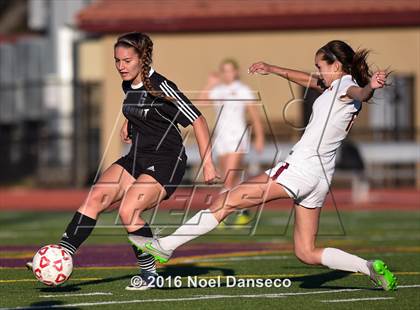 Thumbnail 1 in Menlo-Atherton vs. Piedmont Hills (CIF CCS D1 Playoff) photogallery.