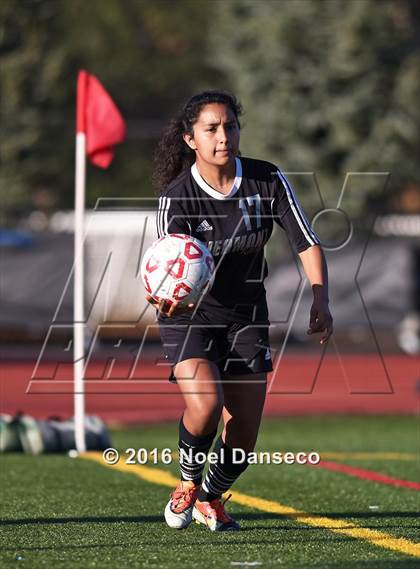 Thumbnail 3 in Menlo-Atherton vs. Piedmont Hills (CIF CCS D1 Playoff) photogallery.
