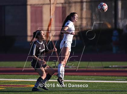 Thumbnail 3 in Menlo-Atherton vs. Piedmont Hills (CIF CCS D1 Playoff) photogallery.