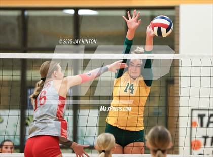 Thumbnail 1 in Glen Rose @ Boyd photogallery.