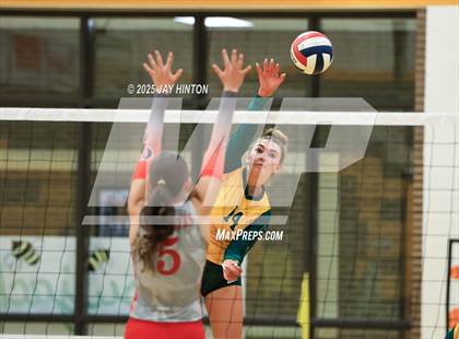 Thumbnail 2 in Glen Rose @ Boyd photogallery.