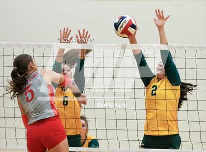 Thumbnail 3 in Glen Rose @ Boyd photogallery.