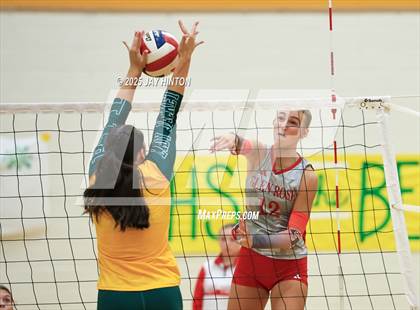 Thumbnail 1 in Glen Rose @ Boyd photogallery.