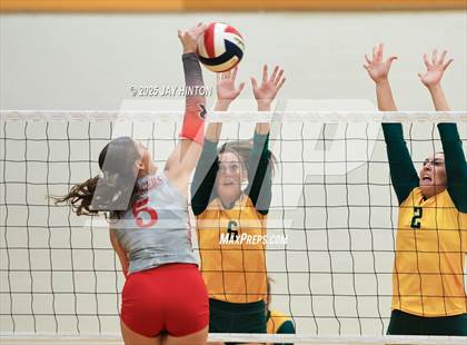 Thumbnail 3 in Glen Rose @ Boyd photogallery.