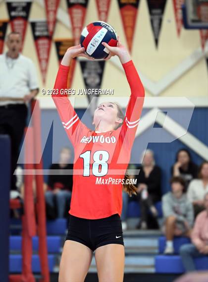 Thumbnail 3 in Redwood @ Tamalpais photogallery.