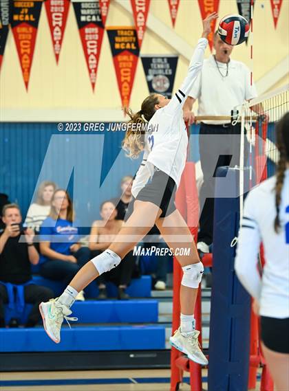 Thumbnail 1 in Redwood @ Tamalpais photogallery.