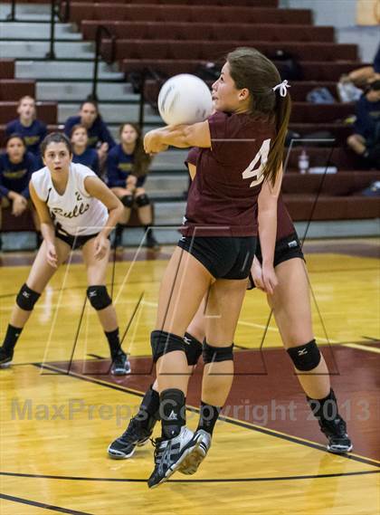 Thumbnail 1 in Steinbrenner @ Wiregrass photogallery.
