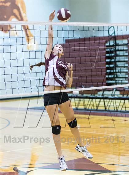 Thumbnail 1 in Steinbrenner @ Wiregrass photogallery.