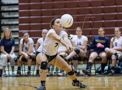 Thumbnail 3 in Steinbrenner @ Wiregrass photogallery.