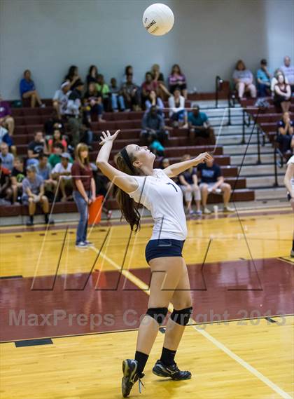 Thumbnail 3 in Steinbrenner @ Wiregrass photogallery.