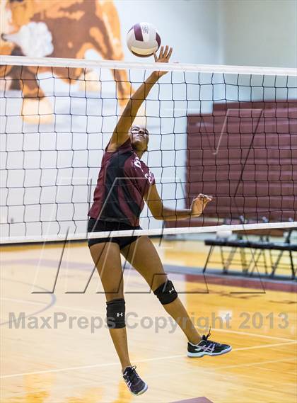 Thumbnail 3 in Steinbrenner @ Wiregrass photogallery.