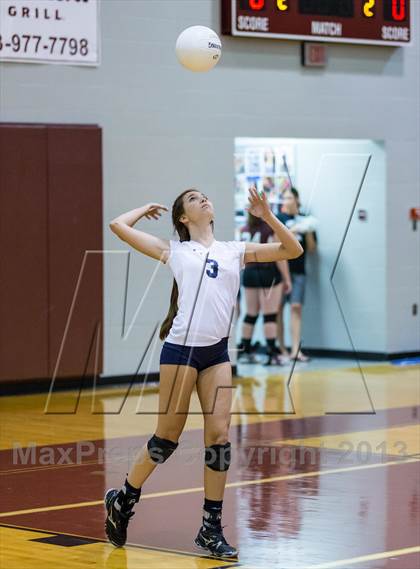 Thumbnail 3 in Steinbrenner @ Wiregrass photogallery.