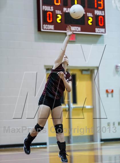 Thumbnail 3 in Steinbrenner @ Wiregrass photogallery.
