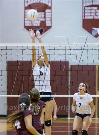 Thumbnail 3 in Steinbrenner @ Wiregrass photogallery.