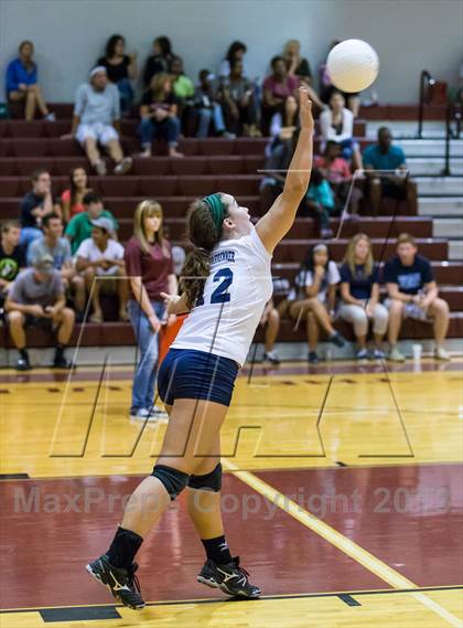 Thumbnail 2 in Steinbrenner @ Wiregrass photogallery.