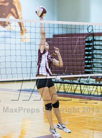 Thumbnail 1 in Steinbrenner @ Wiregrass photogallery.