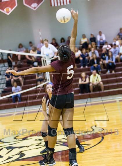 Thumbnail 2 in Steinbrenner @ Wiregrass photogallery.