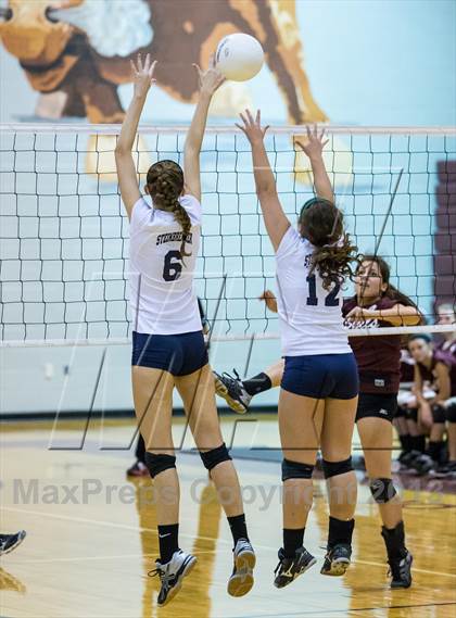 Thumbnail 1 in Steinbrenner @ Wiregrass photogallery.