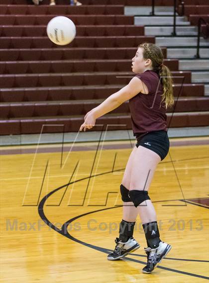 Thumbnail 1 in Steinbrenner @ Wiregrass photogallery.