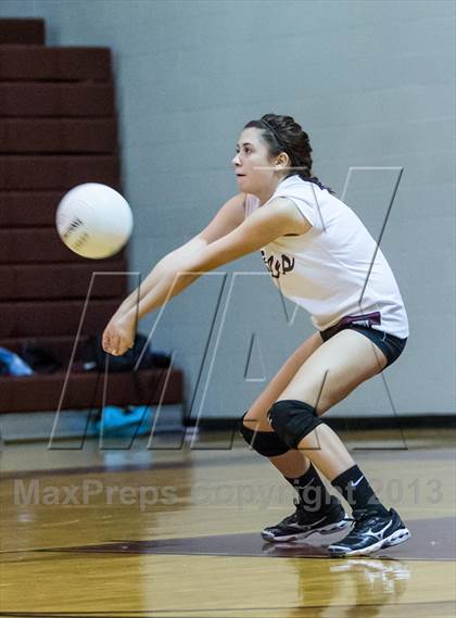Thumbnail 3 in Steinbrenner @ Wiregrass photogallery.