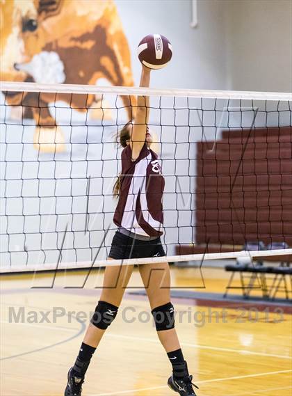 Thumbnail 2 in Steinbrenner @ Wiregrass photogallery.