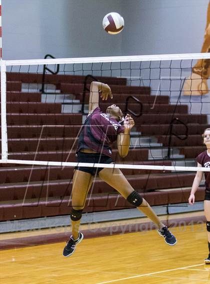 Thumbnail 2 in Steinbrenner @ Wiregrass photogallery.