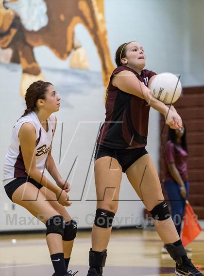 Thumbnail 2 in Steinbrenner @ Wiregrass photogallery.