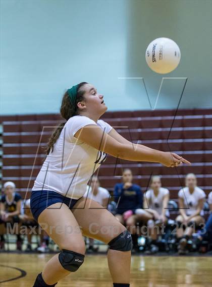 Thumbnail 3 in Steinbrenner @ Wiregrass photogallery.